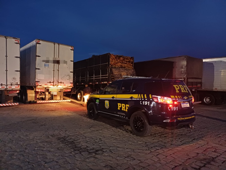 PRF apreende 100m³ de madeira ilegal em Sertânia