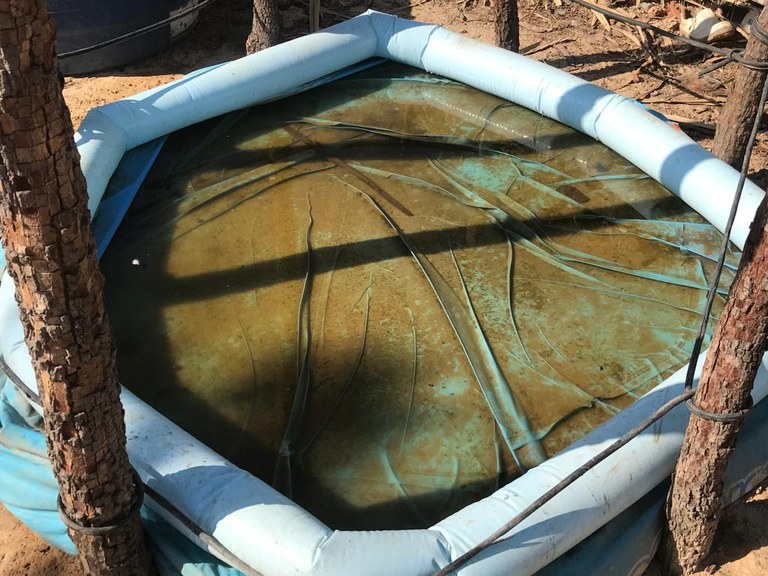 WhatsApp Image 2022-09-26 at 16.30.36.jpeg