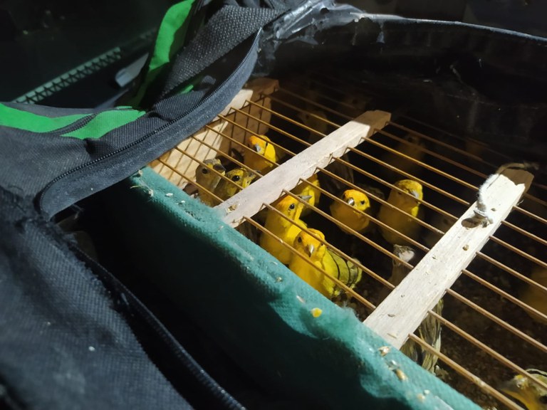 WhatsApp Image 2023-04-03 at 15.46.35.jpeg