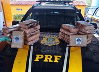 Abordagem da PRF em Piripiri (PI) resulta em apreensão de 21,85 kg de Skunk e uma prisão por Tráfico de Drogas