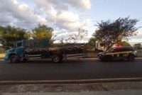 Caminhoneiro é autuado por porte de drogas para consumo e crime ambiental em Piripiri.