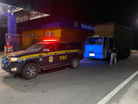 PRF apreende 19,80 metros cúbicos de madeira ilegal em Brasileira (PI).