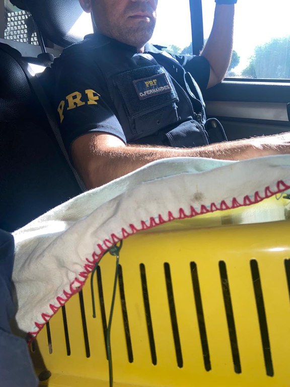 WhatsApp Image 2023-06-06 at 11.30.59 AM (3).jpeg