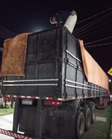 Carga de madeira com documentação fraudulenta é apreendida no Piauí