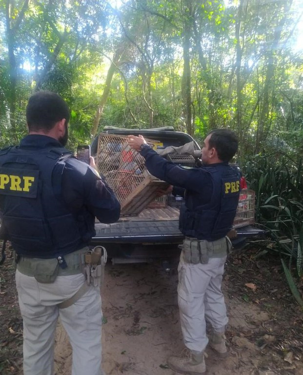 WhatsApp Image 2023-05-15 at 13.04.54.jpeg