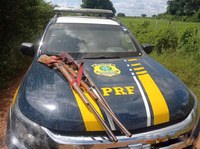 PRF apreende três espingardas artesanais em Joaquim Pires (PI)