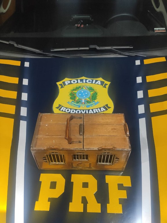 WhatsApp Image 2023-05-24 at 08.28.32.jpeg