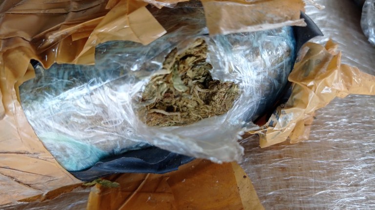 WhatsApp Image 2023-05-20 at 4.25.41 PM (1).jpeg