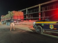 Operação da PRF apreende mais de 150m³ de madeira transportada de maneira irregular em diversos pontos da BR 316 no Piauí