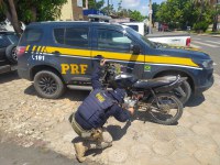 PRF encontra motocicleta adulterada e condutor foge em Santa Luz (PI)