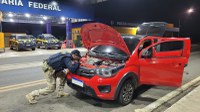PRF prende homem por adulteração de veículo e porte de droga para consumo em Piripiri (PI)