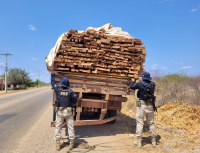 Transporte ilegal de madeira com destino à Bahia é apreendida pela PRF no Piauí.