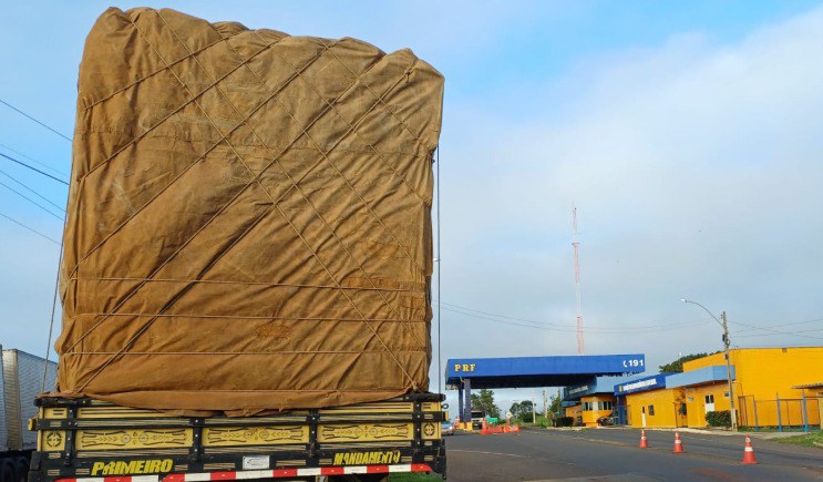 WhatsApp Image 2025-04-08 at 09.30.16.jpeg