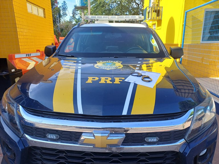 WhatsApp Image 2025-08-07 at 16.55.14.jpeg