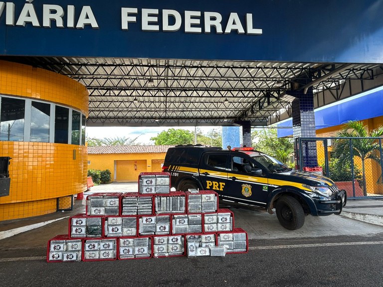 WhatsApp Image 2025-08-13 at 14.34.52.jpeg