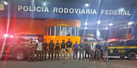 PRF resgata 48 animais silvestres na BR-222
