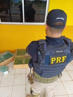 PRF aprende mais de 300 pássaros sendo transportados ilegalmente