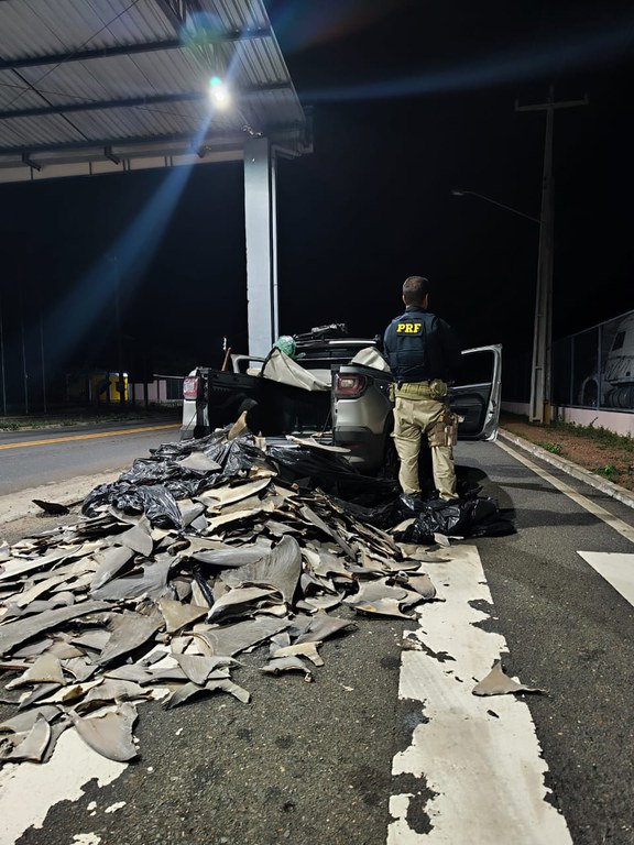 WhatsApp Image 2025-01-10 at 11.35.34.jpeg