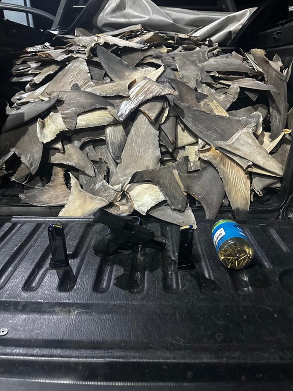 WhatsApp Image 2025-01-10 at 11.50.41 (1).jpeg