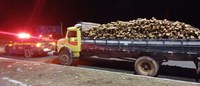 PRF apreende 13,94m³ de madeira nativa transportada sem documentação ambiental em Piripiri (PI)