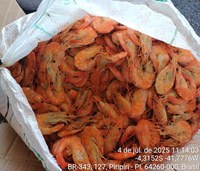 PRF apreende mais de 1,3 tonelada de pescado impróprio para consumo em ônibus na BR-343, em Piripiri/PI