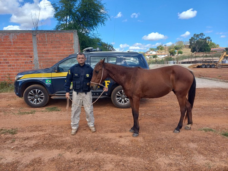 WhatsApp Image 2025-06-02 at 12.37.16.jpeg