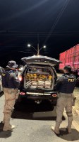 PRF apreende 210 kg de cocaína e 20 kg de skunk em operação na BR 316 em Picos (PI)