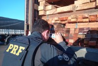 PRF apreende 42,98m³ de madeira serrada transportada ilegalmente em Piripiri (PI)