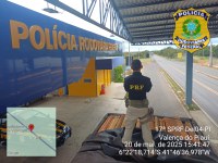 PRF apreende mais de 35m³ de madeira serrada transportada ilegalmente em Valença do Piauí
