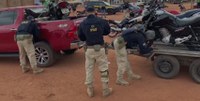 Operação Hircus Fase VIII: Forças de segurança recuperam 88 veículos roubados/furtados no Piauí