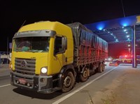 PRF apreende carga de castanha de caju sem nota fiscal durante fiscalização na BR-316 em Teresina