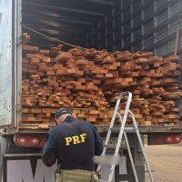 PRF apreende 37 m³ de madeira serrada irregular durante fiscalização em Picos (PI)