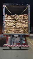 PRF apreende 48 m³ de madeira transportada ilegalmente em Picos/PI