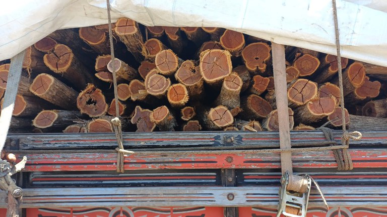 WhatsApp Image 2025-10-02 at 11.40.04.jpeg