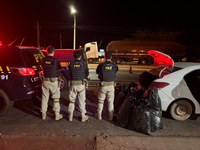 PRF apreende quase 100 kg de maconha durante fiscalização na BR-316 em Picos