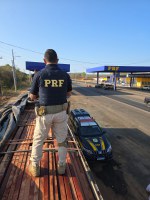 PRF apreende 40 m³ de madeira nativa transportada sem licença ambiental em Teresina (PI)