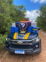 Polícia Rodoviária Federal apreende cerca de 90 quilos de skunk na BR-402, na Divisa do Piauí com o Maranhão