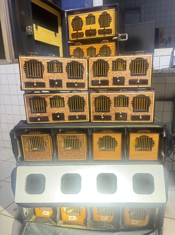 WhatsApp Image 2026-03-02 at 07.04.02.jpeg