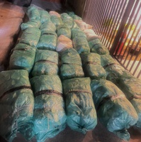 PRF apreende cerca de 320 kg de maconha após acidente de trânsito na BR-020, no Piauí
