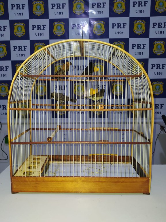 WhatsApp Image 2021-08-14 at 01.32.50.jpeg