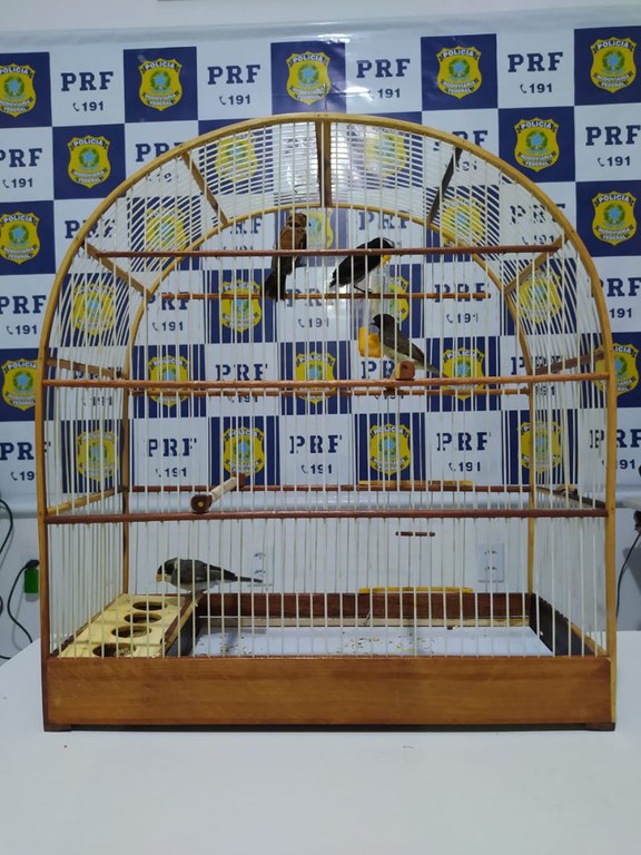 WhatsApp Image 2021-08-14 at 01.34.17.jpeg