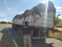 Em Monte Alegre do Piauí/PI: Homem é autuado por Posse de droga para consumo e é preso pela PRF na BR 135 pelo Uso de Documento Falso