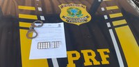 Em Picos/PI: PRF autua caminhoneiro por estar portando anfetaminas para consumo na BR 316