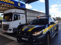 Em Valença do Piauí/PI: Caminhoneiro é preso pela PRF na BR 316 acusado de Tráfico de Drogas