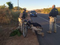 Em Cristino Castro/PI: PRF apreende na BR 135 motocicleta adulterada