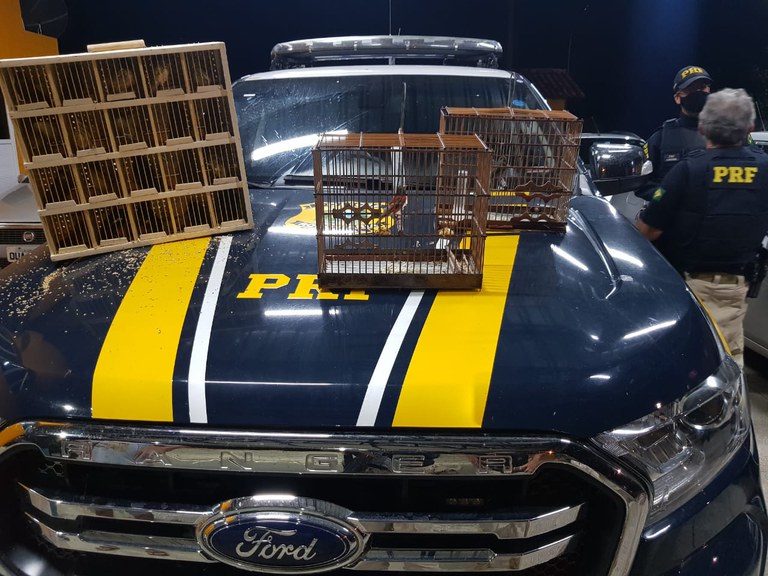 WhatsApp Image 2021-05-20 at 19.12.38 (1).jpeg