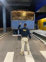 PRF autua condutor por transporte de madeira ilegal e por porte de cocaína e anfetaminas para consumo