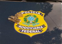 Em menos de 24h PRF flagra três caminhoneiros portando drogas para consumo nas BRs de Teresina