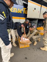 Embarque Legal: PRF intensifica fiscalização do transporte coletivo no Piauí