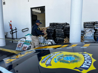 PRF apreende sete toneladas de maconha em Três Rios